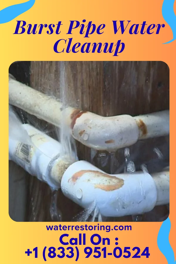 Burst Pipe Water Cleanup in Richfield, MN
