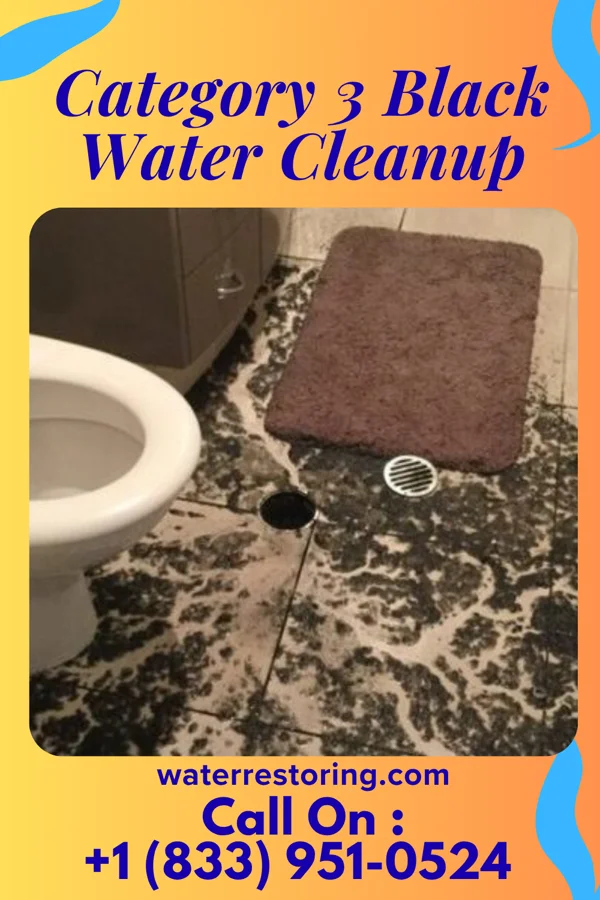 Category 3 Black Water Cleanup in Richfield, MN