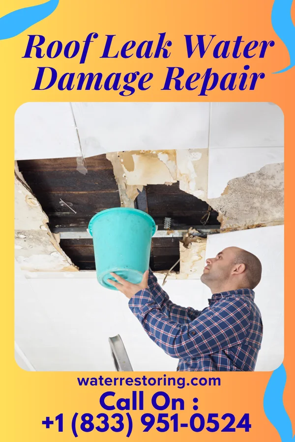 Roof Leak Water Damage Repair in Richfield, MN